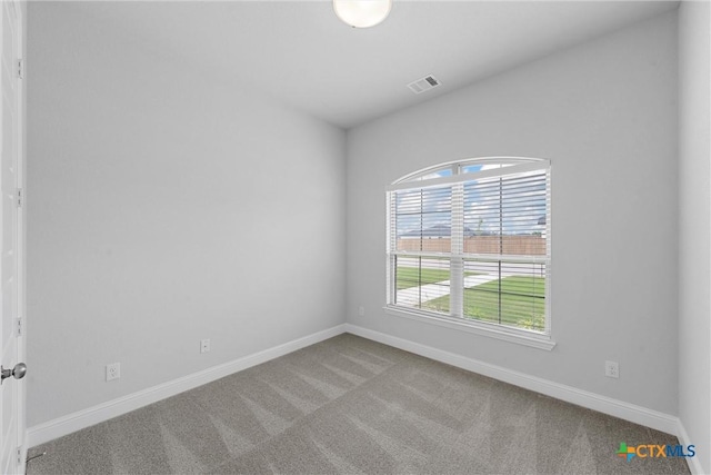 spare room featuring carpet and a wealth of natural light