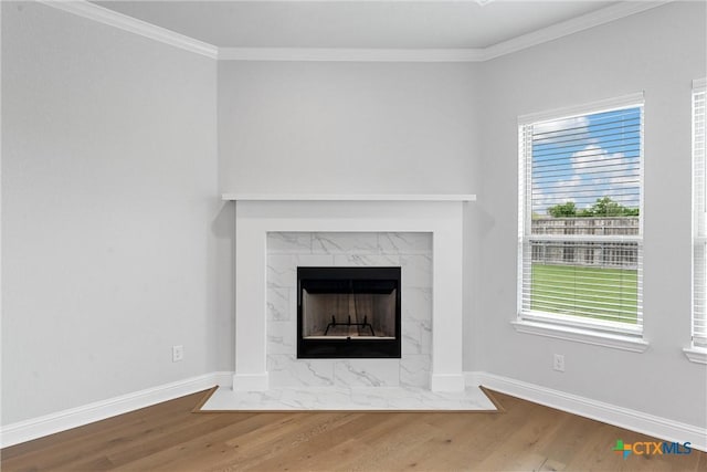 room details with hardwood / wood-style flooring, ornamental molding, and a premium fireplace