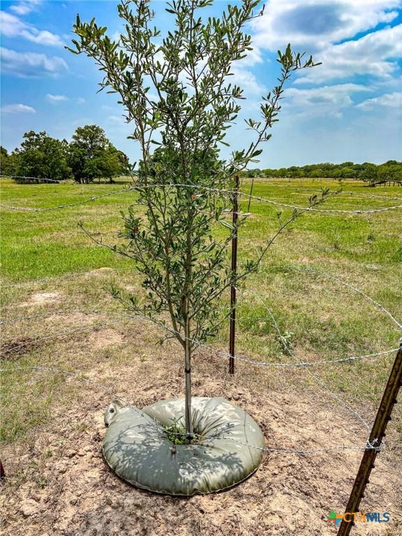 000 County Road 128, Hallettsville, TX 77964