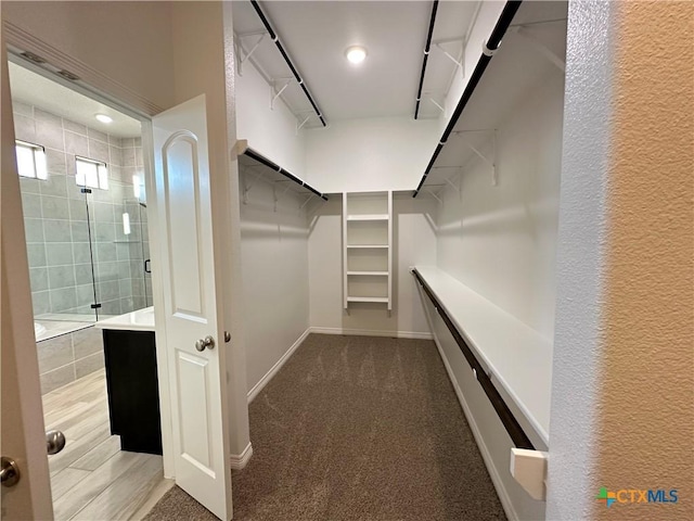 spacious closet with carpet floors