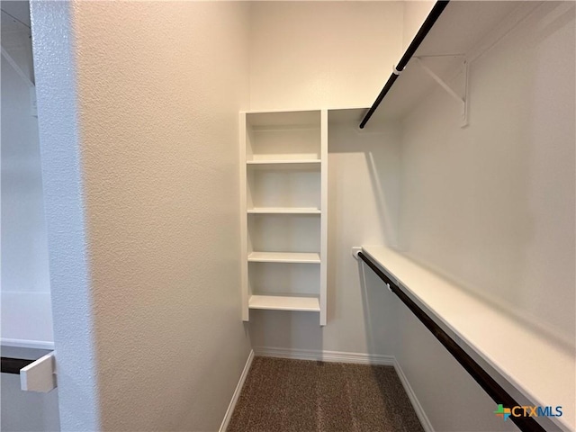 spacious closet with carpet