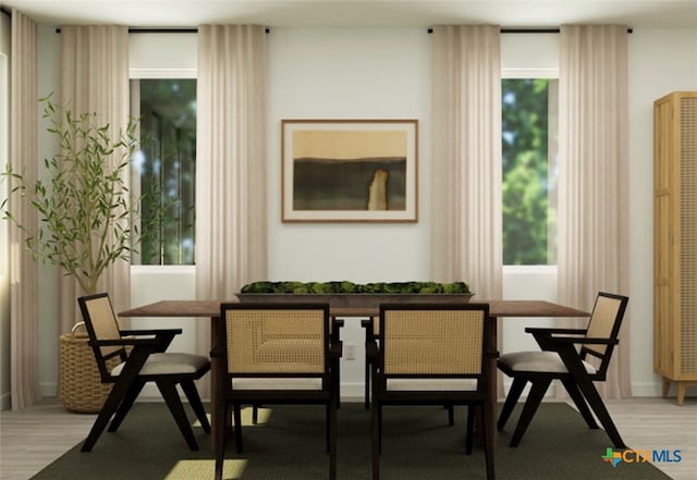 dining room featuring light hardwood / wood-style floors