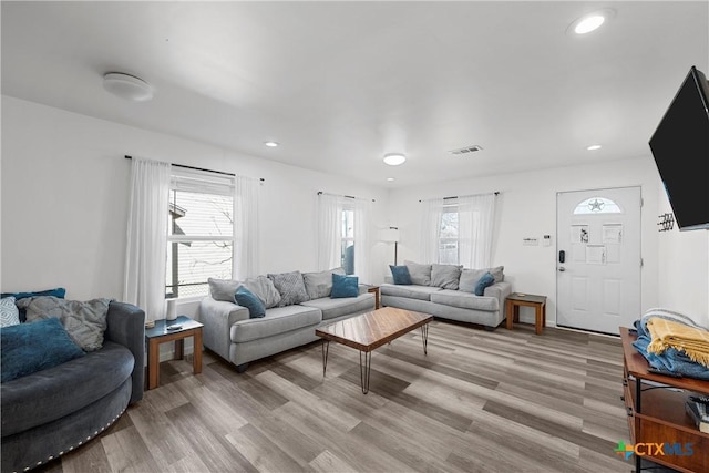 living room featuring light hardwood / wood-style flooring and a wealth of natural light