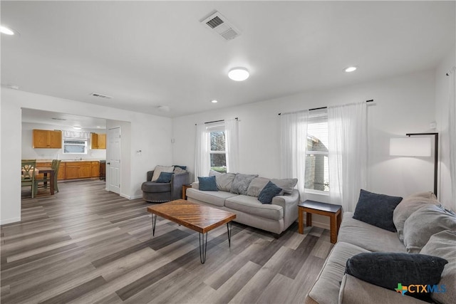 living room featuring hardwood / wood-style flooring