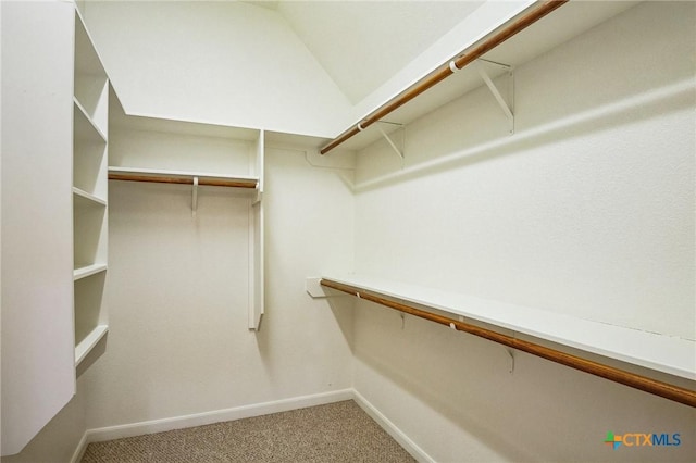 walk in closet with vaulted ceiling and carpet