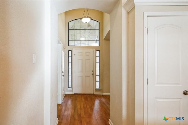 foyer entrance featuring dark hardwood / wood-style flooring