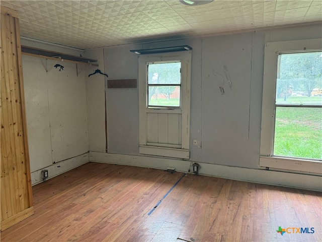 spare room featuring a healthy amount of sunlight and light hardwood / wood-style flooring