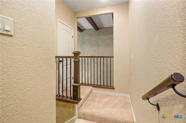 stairway featuring carpet and beamed ceiling