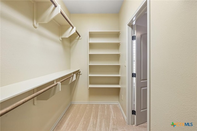 walk in closet featuring light colored carpet