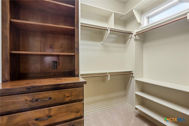 walk in closet featuring light carpet