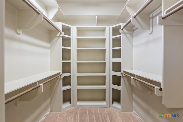 spacious closet featuring carpet