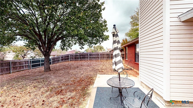 view of yard featuring a patio area