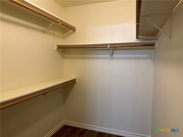 walk in closet with dark wood-type flooring