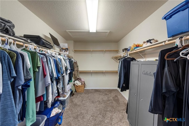 2014 Deer Field Way, Harker Heights, TX 76548 - walk in closet with attic access and carpet floors