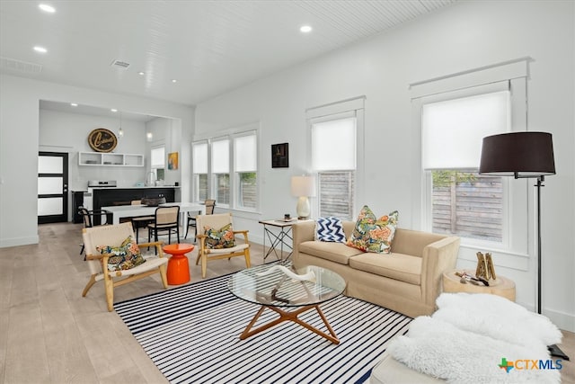 living room with light hardwood / wood-style floors and a healthy amount of sunlight