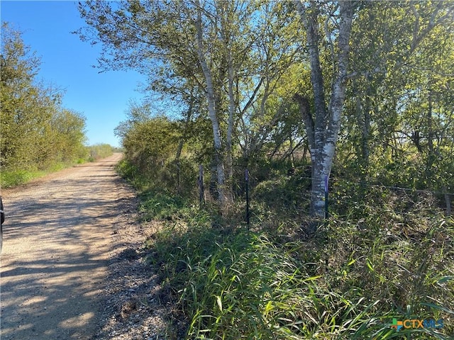 000 County Rd 407, Waelder, TX 78959