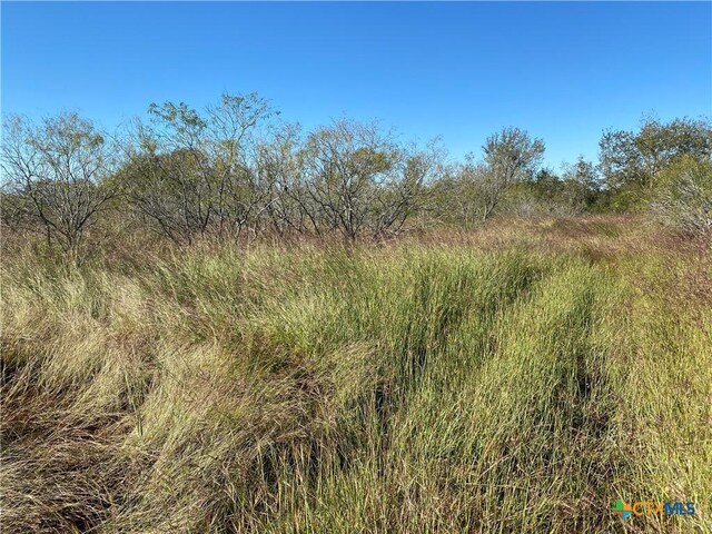 000 County Rd 407, Waelder, TX 78959