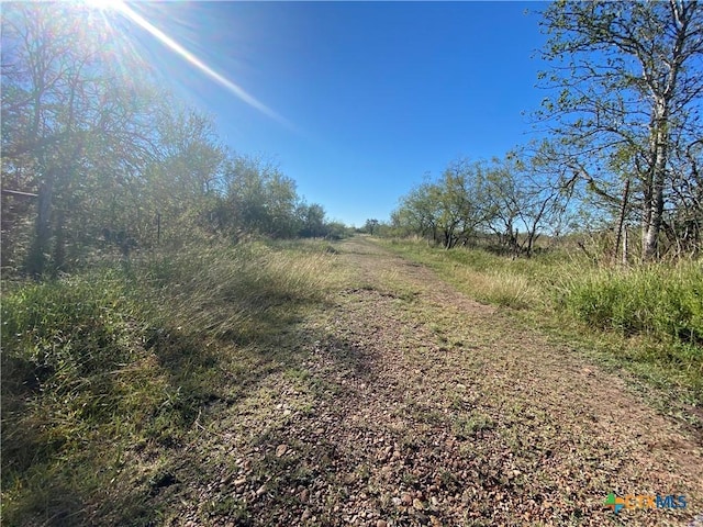 000 County Rd 407, Waelder, TX 78959