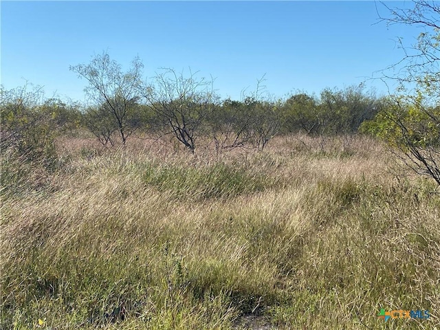 000 County Rd 407, Waelder, TX 78959