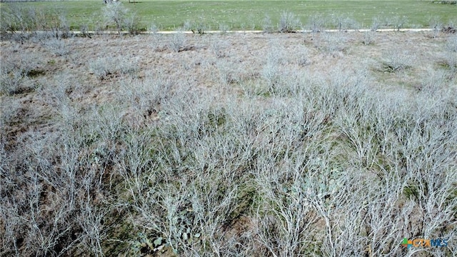 000 County Rd 407, Waelder, TX 78959