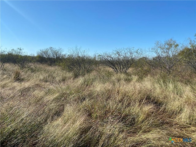 000 County Rd 407, Waelder, TX 78959