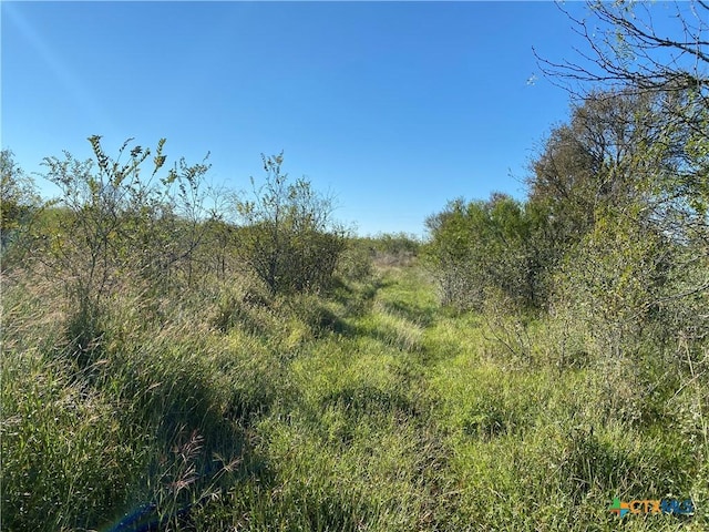 000 County Rd 407, Waelder, TX 78959