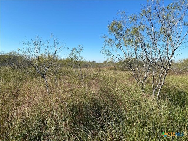 000 County Rd 407, Waelder, TX 78959