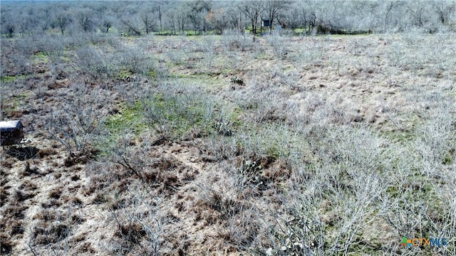 000 County Rd 407, Waelder, TX 78959