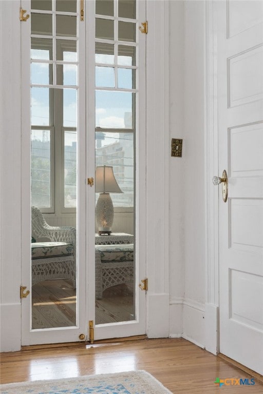 entryway with light wood-type flooring and a wealth of natural light