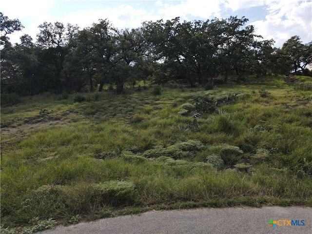 Listing photo 2 for 142 Cartma, Spring Branch TX 78070