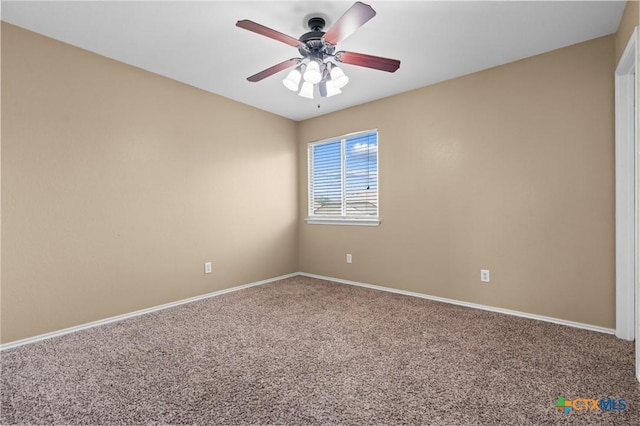 6207 Emilie Ln, Killeen, TX 76542 - photo 36