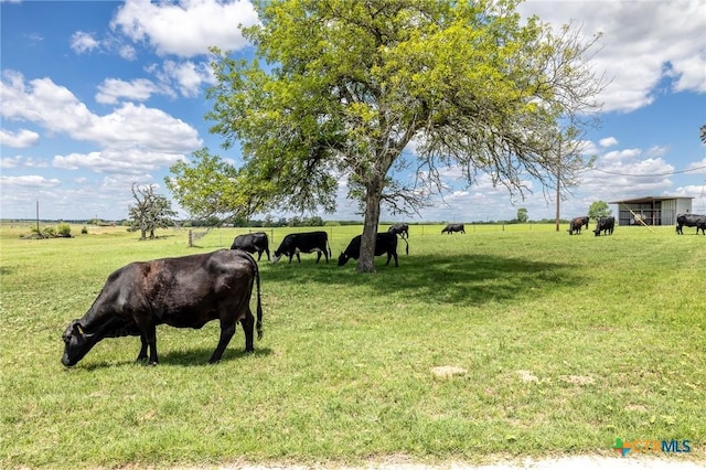 6589 State Highway 304, Harwood, TX 78632 - view of green lawn featuring a view of rural / pastoral area