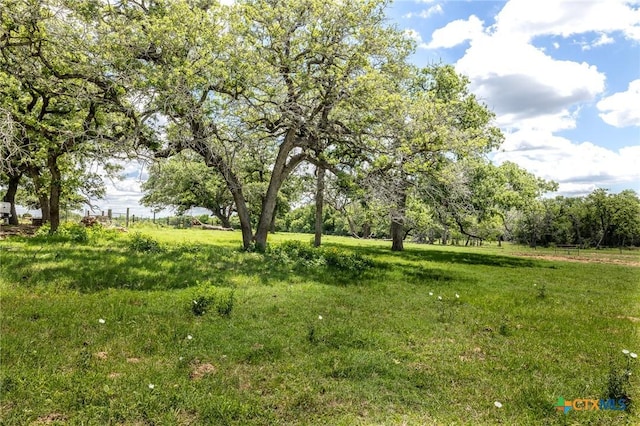 6589 State Highway 304, Harwood, TX 78632 - view of yard