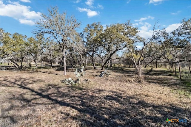 view of yard featuring a rural view