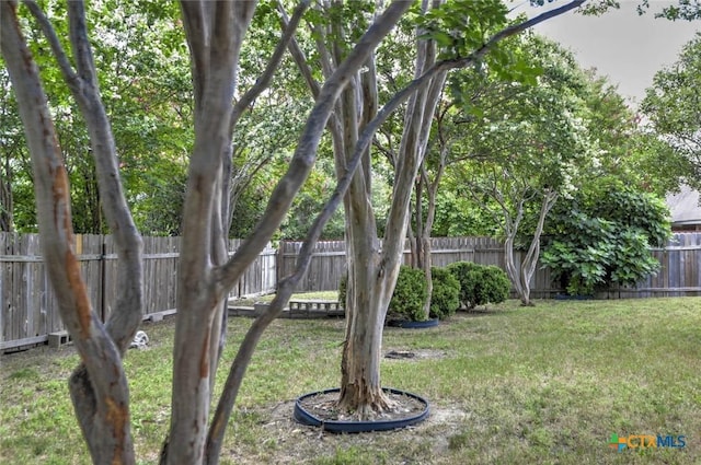 2109 Southport Dr, Killeen, TX 76542 - view of fenced backyard