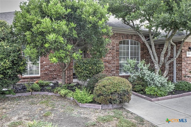 2109 Southport Dr, Killeen, TX 76542 - view of side of home with brick siding and roof with shingles