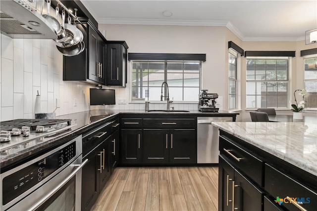 3836 Newland Ct, Round Rock, TX 78681 - kitchen with stainless steel appliances, dark cabinetry, a sink, light wood-type flooring, and plenty of natural light