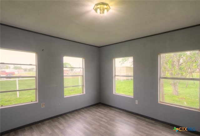 spare room with light hardwood / wood-style flooring