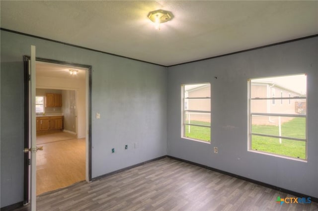 empty room featuring light hardwood / wood-style floors