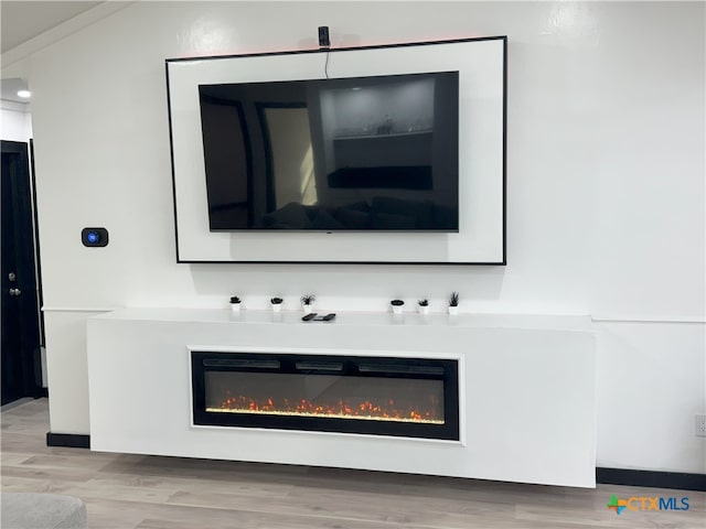 interior details featuring wood finished floors and a glass covered fireplace