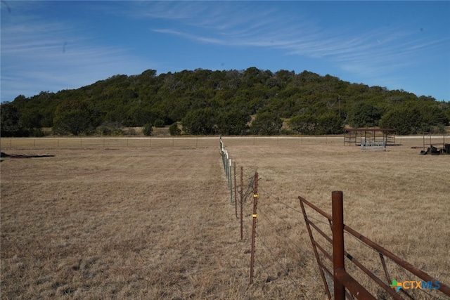 view of yard with a rural view