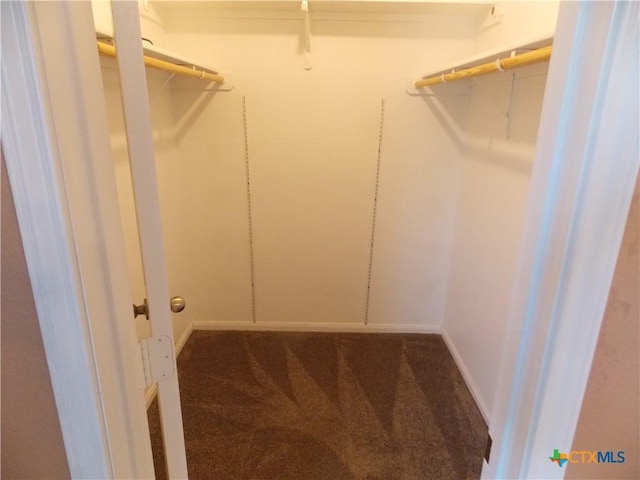 513 Pumpkin Dr, Temple, TX 76502 - walk in closet with carpet