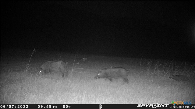 6902 Fm-1690, Gatesville, TX 76528