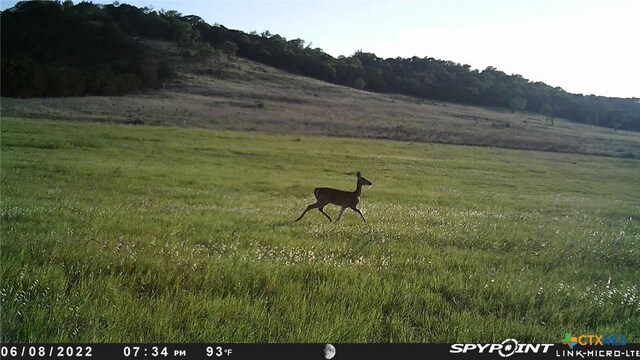 6902 Fm-1690, Gatesville, TX 76528
