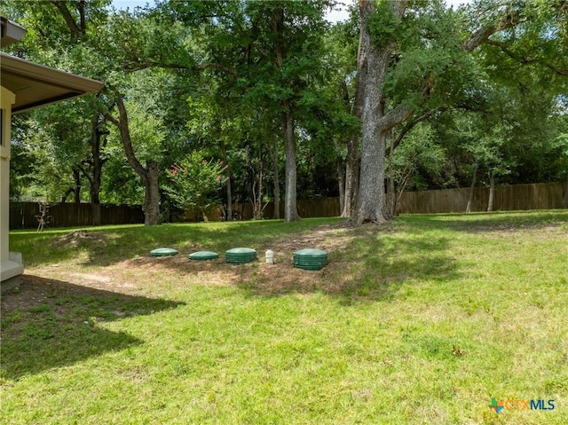 1010 Woodland Bend Cir, Salado, TX 76571 - view of yard