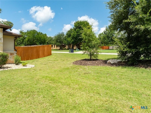 1010 Woodland Bend Cir, Salado, TX 76571 - view of yard