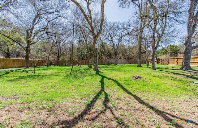 view of yard featuring a fenced backyard