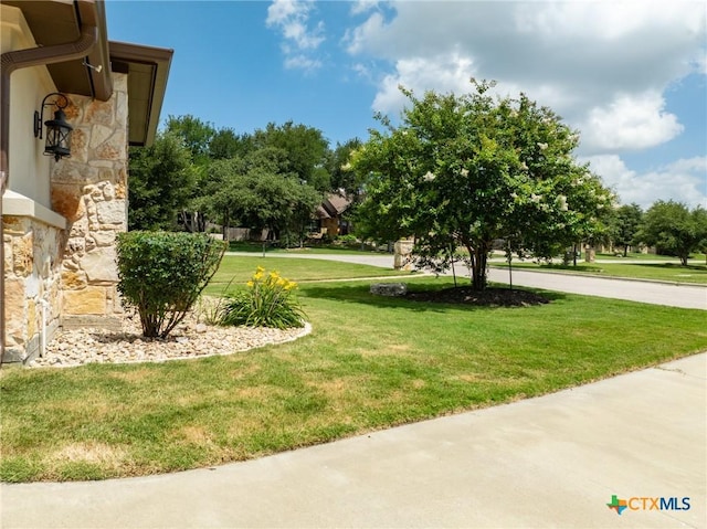 1010 Woodland Bend Cir, Salado, TX 76571 - view of green lawn