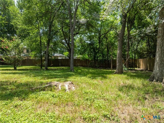 1010 Woodland Bend Cir, Salado, TX 76571 - view of fenced backyard