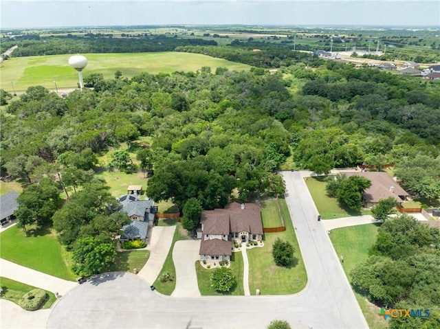 1010 Woodland Bend Cir, Salado, TX 76571 - bird's eye view